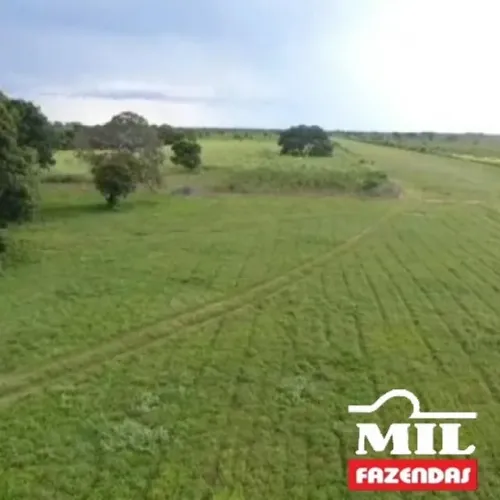 Fazenda 3.182 Alq (15.400 HÁ) em Ribeirão Cascalheira - MT