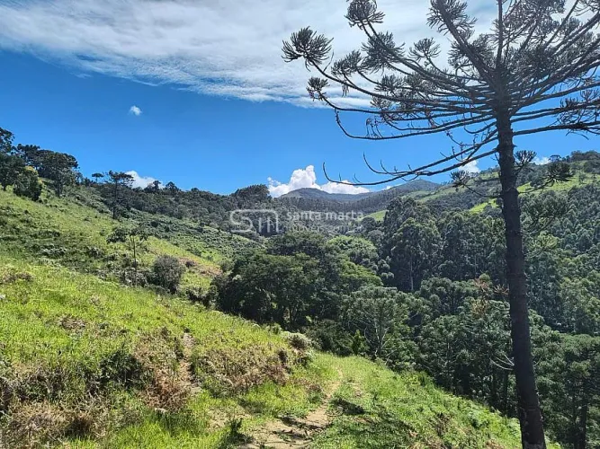 SITIO VISTA 360º, SERRA BOCAINA, ARAUCÁRIAS SILVEIRAS, SP