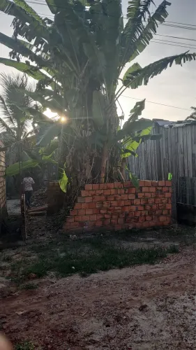 Vendo terreno tapanã bem localizado , perto da pista