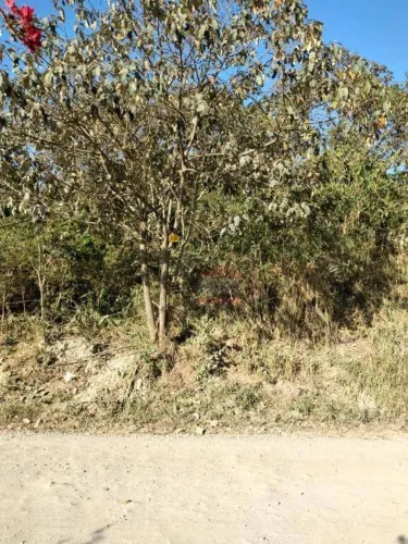 Terreno à venda, 2626 m² - Lagoa - Vargem Grande Paulista/SP