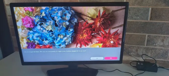 TV LG 24 polegadas 