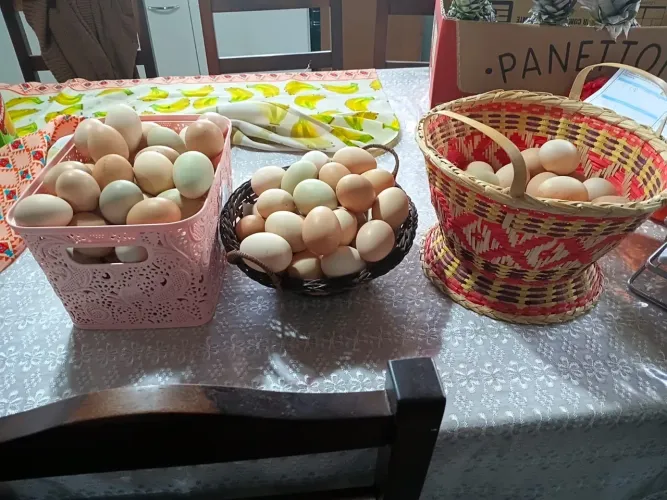 Ovos caipira - Piraquara