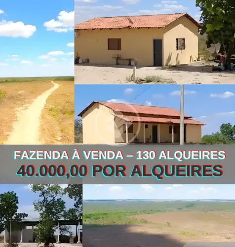 Fazenda à Venda 130 Alqueires (629,2 ha) codigo: 360974