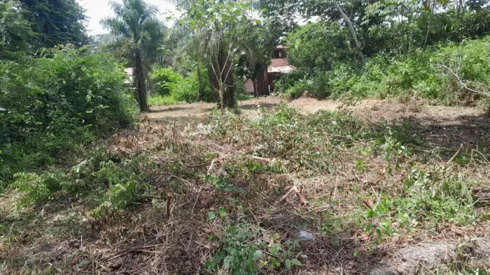 Terreno no murinin/Benevides