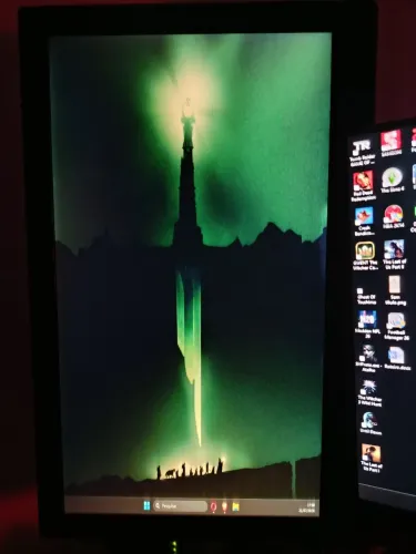 Monitor Widescreen 19'