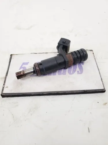 Bico Injetor Bmw 320i 2.0 Aspirado 2009 / 2010 N7561277