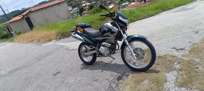 Falcon