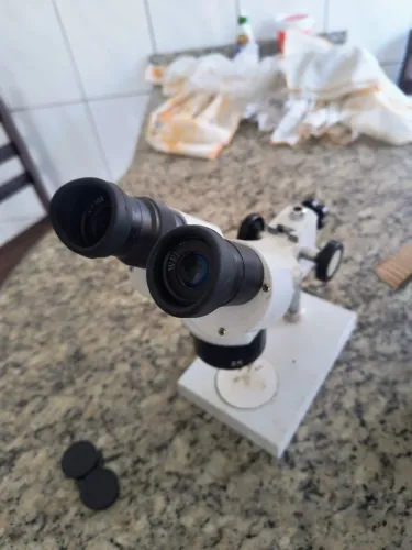 Microscópio binocular 
