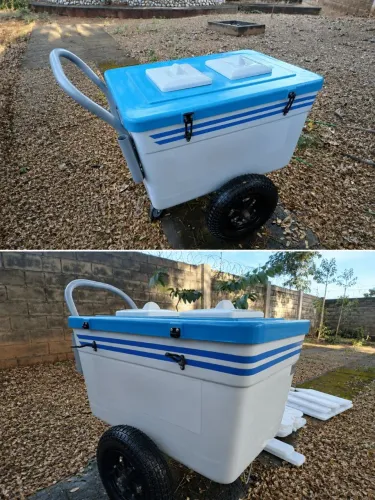 Carrinho de picolé/sorvete T500 Thermototal  