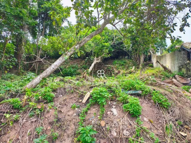 Terreno à venda, 330 m² por R$ 340.000,00 - Vila Diva - Carapicuíba/SP