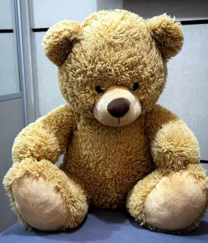 Urso Pelucia Aurora Word Plush Bonny Bear, Medium