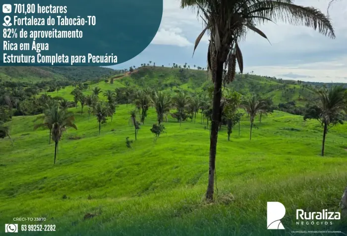 FAZENDA 145 ALQUEIRES | 580 HA FORMADOS | RIO E ÁGUA EM TODOS OS PASTOS