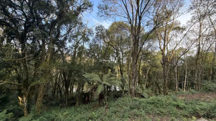 Terreno com Projeto em Canela!