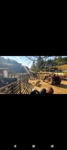 Fazenda 86 hectares