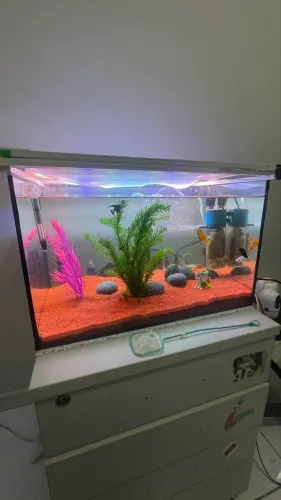 Aquário 55 litros