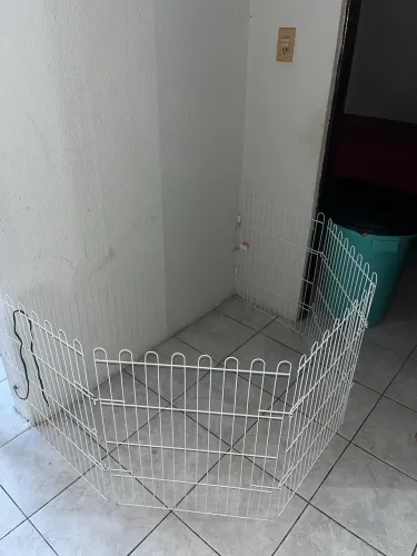 Cercadinho pet (animais)