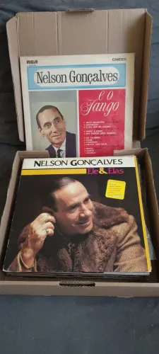 Vendo discos de vinil do acervo pessoal do cantor Nelson Gonçalves.
