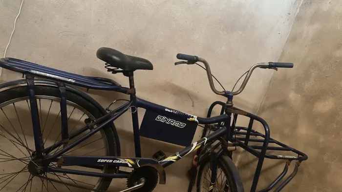 Bicicleta cargueira