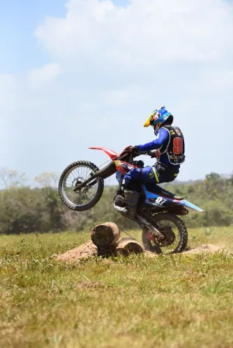 Crf 230F