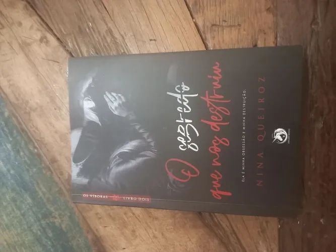 O Segredo Que Nos Destruiu (Os Víboras - Livro 02) Nina Queiroz.