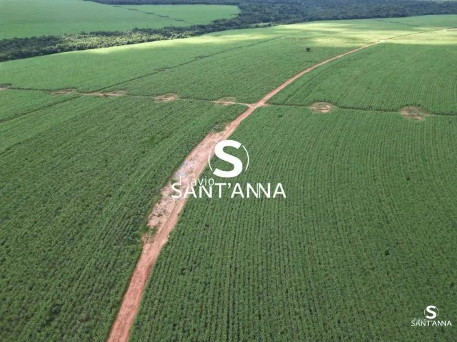 Vende-se Fazenda em Paraíso das Águas - MS REF: FS20605E