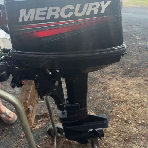 Motor polpa 9,9 Mercury