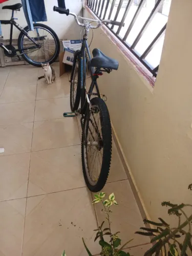 Bicicleta preta