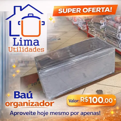 Baú organizador PROMOÇÃO HOJE