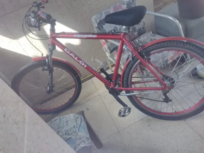Bicicleta 