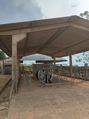 Fazenda em Piracanjuba - GO