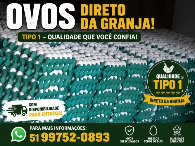 Ovos direto da granja