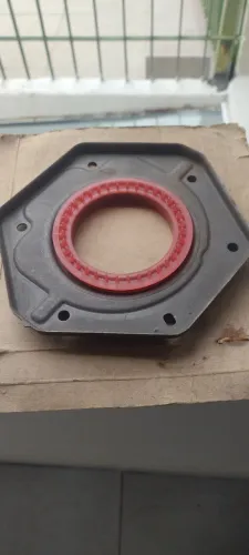 Vendo uma frango da Ducato