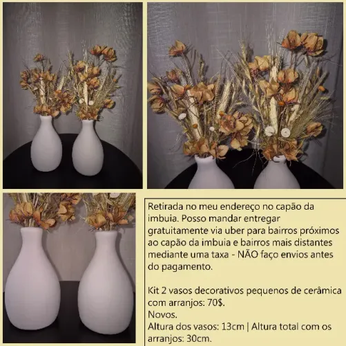 2 vasos pequenos de cerâmica com arranjos terracota novos