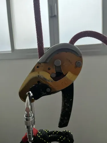 Petzl Ids 