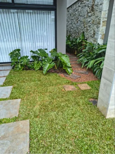 Paisagismo e Jardinagem