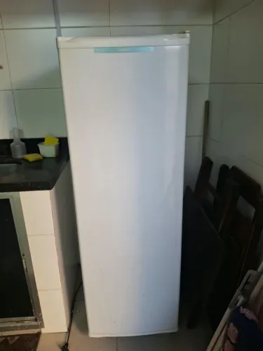 Freezer vertical consul