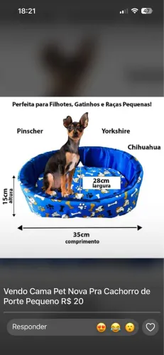 Vendo cama nova para pet