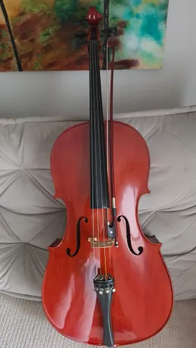 Violoncelo Michael 4/4