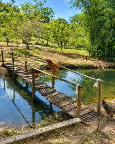 Sítio a venda em Tanguá