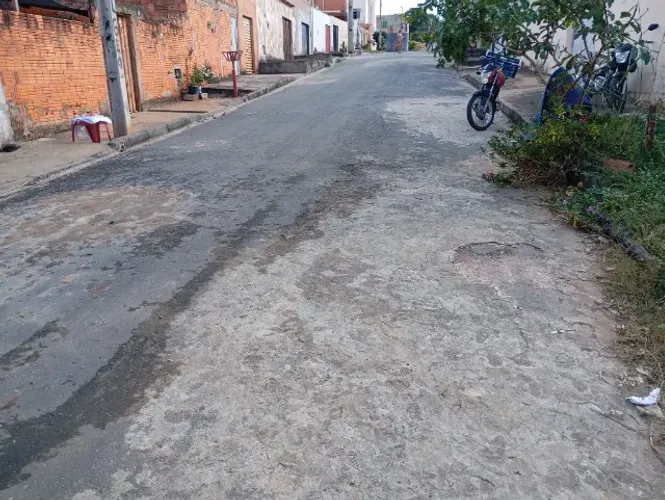 Lote no renascença