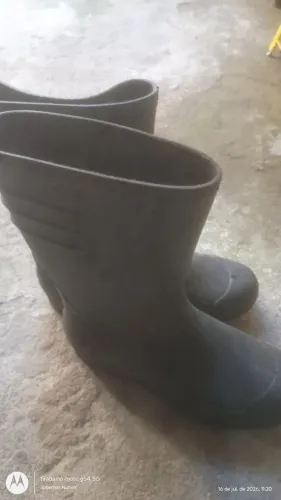 Bota