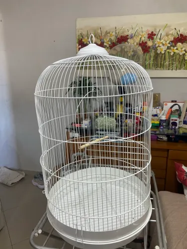 Gaiola Piu Piu 2