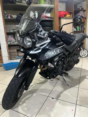 Tiger 800
