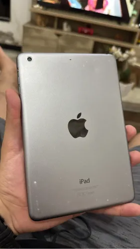 iPad mini 2