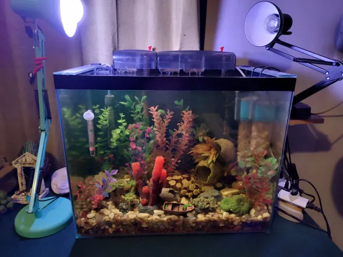 Vendo Aquário com Filtros, Bomba e Termostato