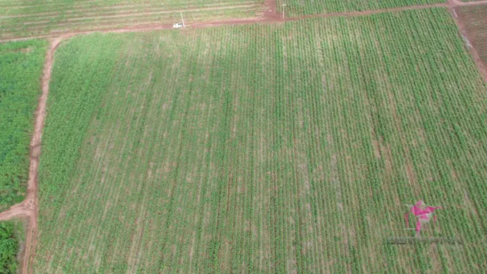 Terreno à venda, 4980 m² por R$ 300.000,00 - Área Rural - Pirassununga/SP