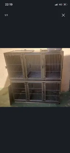 Canil inox, muito novo pouquíssimo usado