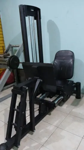 Leg press horizontal 100kg ( entrego)
