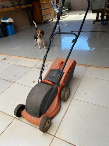 Jardinagem