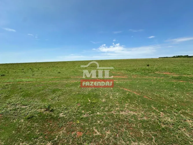 Fazenda 320 Alqueires (1.548 hectares) Niquelândia - GO